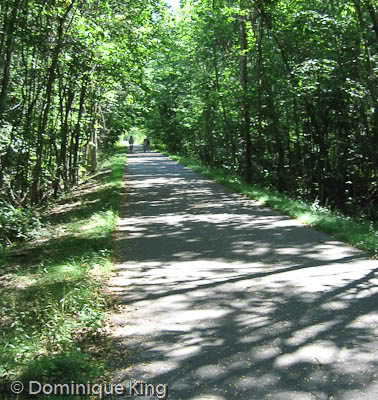 Michigan,Lake Michigan,bike